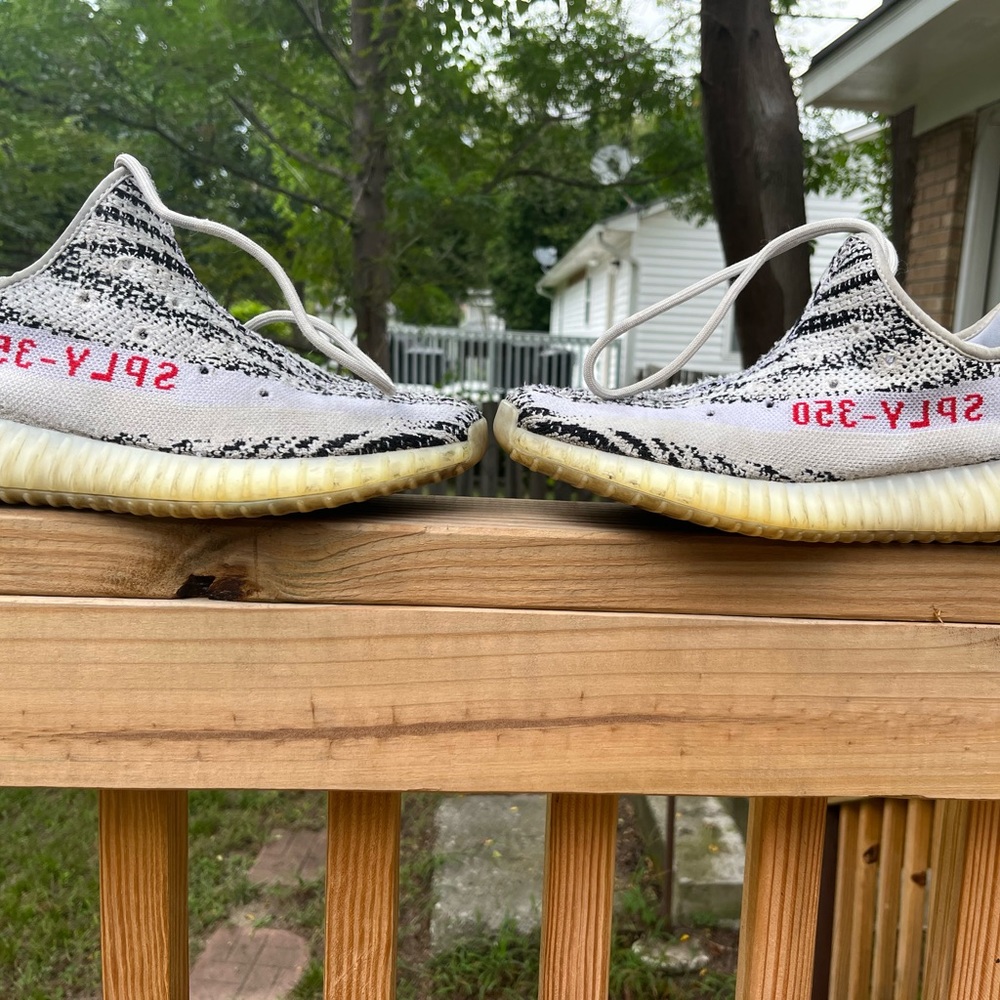 Yeezy 350 zebra used - Picture 1 of 5